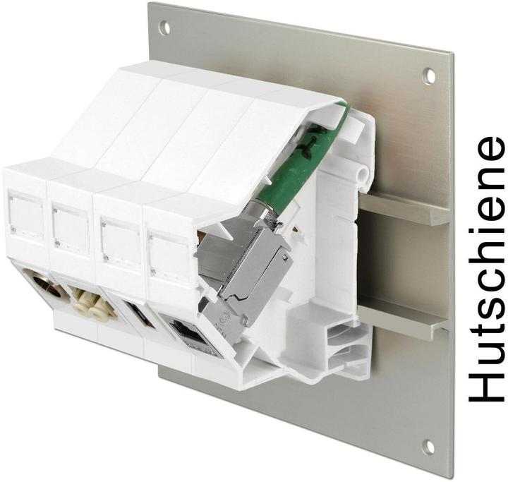 Image du produit Delock Support Keystone Boîtier 180