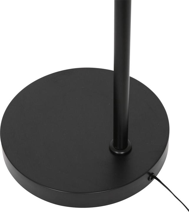 Produktbild Steinhauer Daphne