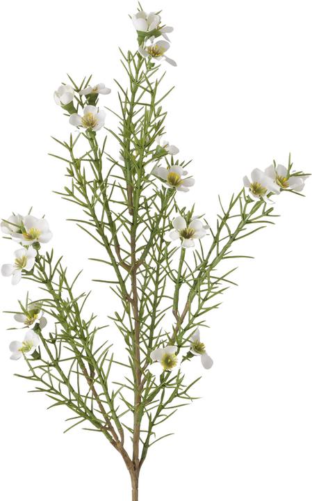 Immagine prodotto Boltze Home Stielblume (8.90 cm)
