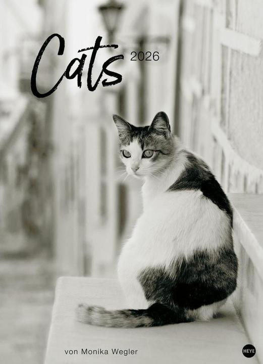 Cats Edition Kalender 2026 (49 x 68 cm)