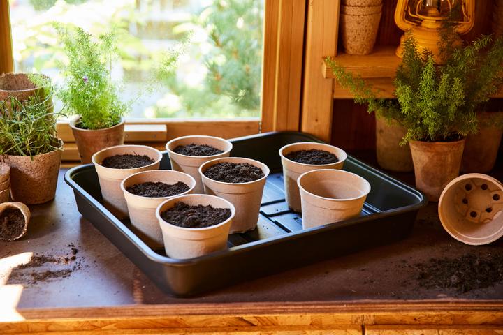 Image du produit Siena Garden Lot de 10 pots de culture ECO Ø 12 cm