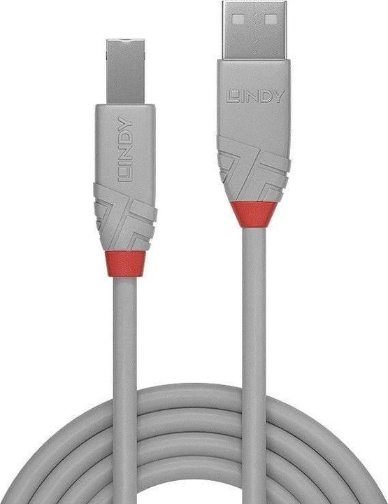 Productafbeelding Lindy USB/A-USB/B M-M (3 m, USB 2.0)