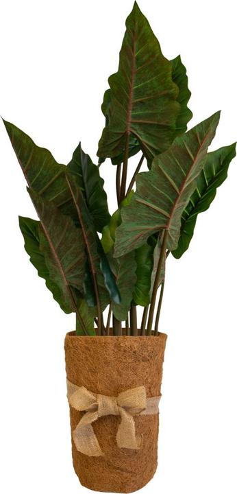 Produktbild Colibri Wickelstreifen