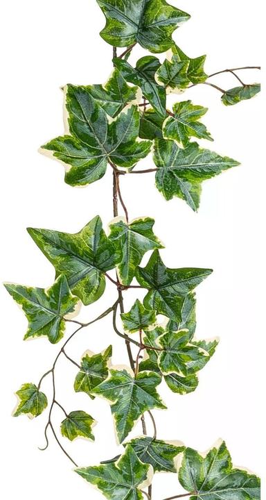 Immagine prodotto Dekomat Ivy Garland (150 cm)