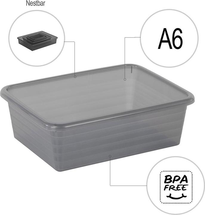 Actual product image Rotho Linus (14.5 x 6 x 19 cm, 0 l)