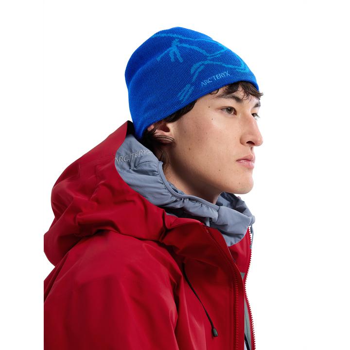 Actual product image Arc'teryx Bird Head (One size)