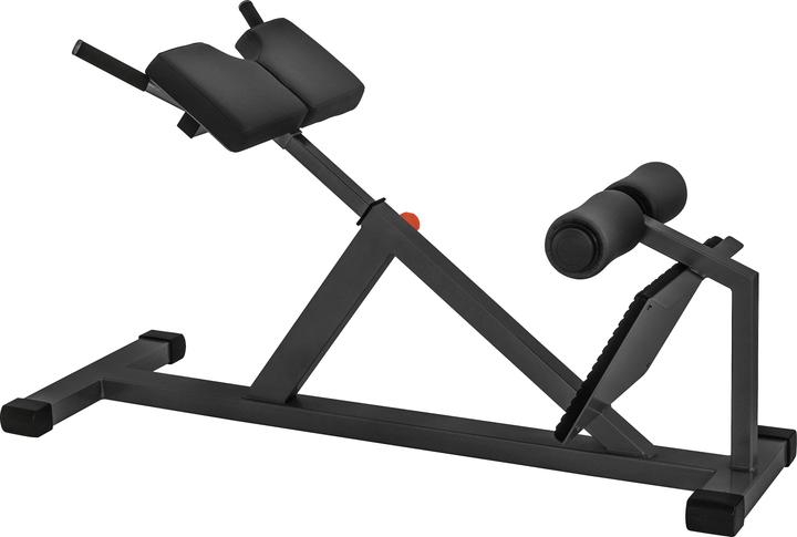 Sport-Thieme Rückenstrecker MED