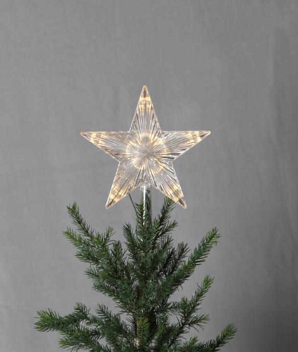 Actual product image Star Trading Topsy