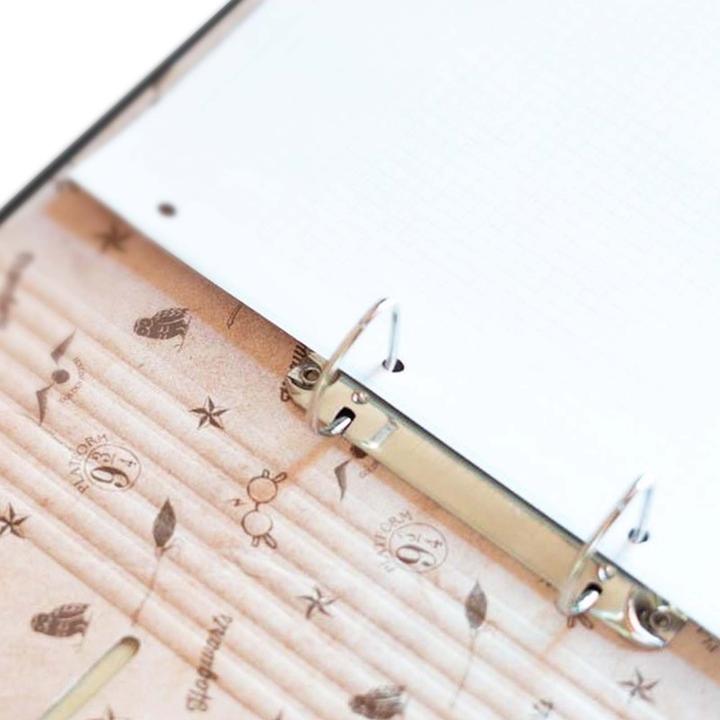 Image du produit Erik Harry Potter - Vif d'Or 2 Anneaux (A4, 1 pcs)