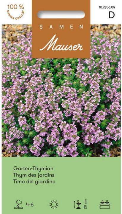 Actual product image Samen Mauser Garden thyme (Herb seeds)