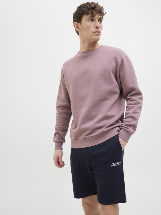 Actual product image Jack & Jones Regular Fit Shorts Shorts (M)