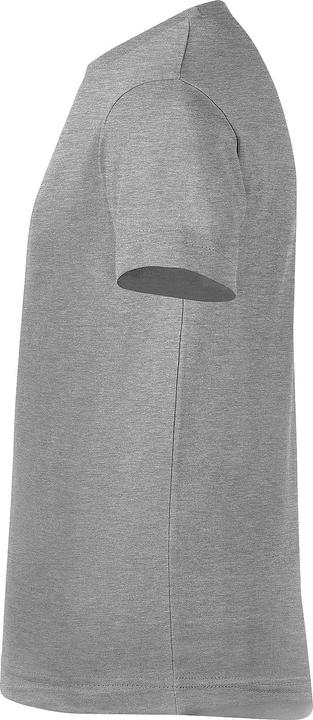 Gris chiné