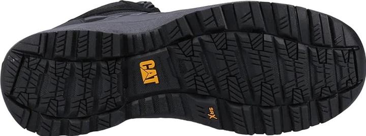 Actual product image Cat Batch (S3, 40)