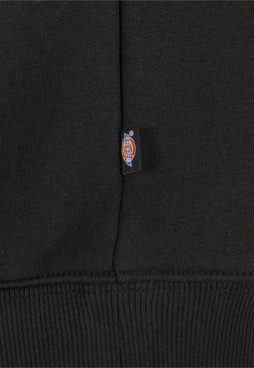 Actual product image Dickies Icon Logo Hoody - 125359 (XXL)