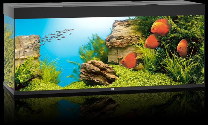 Immagine prodotto Juwel Aquarium Rio (450 l)