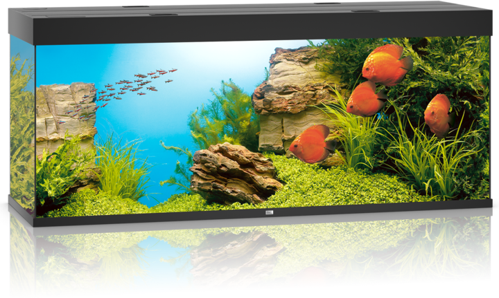 Immagine prodotto Juwel Aquarium Rio (450 l)