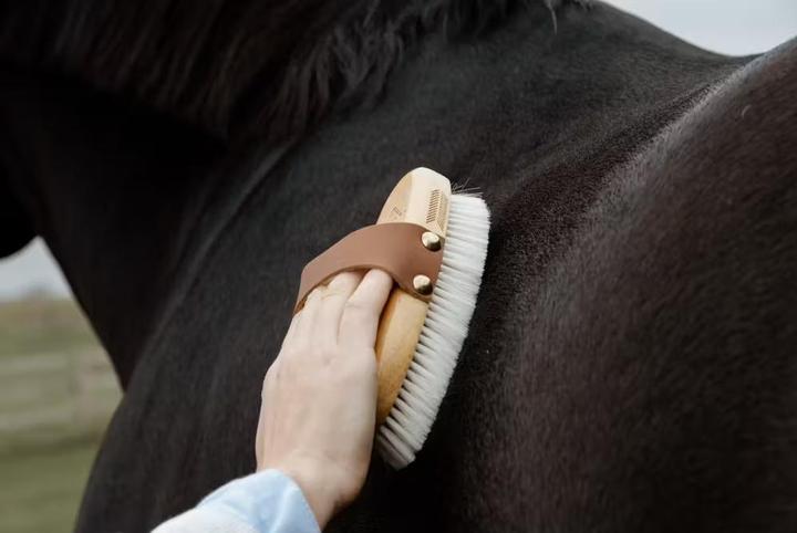 Grooming Deluxe Small brosse douce à poil doux pour cheval