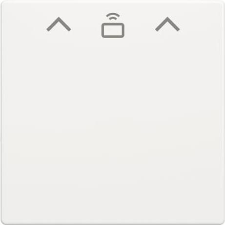 Actual product image Busch-Jaeger Cent.Sch.Card switch