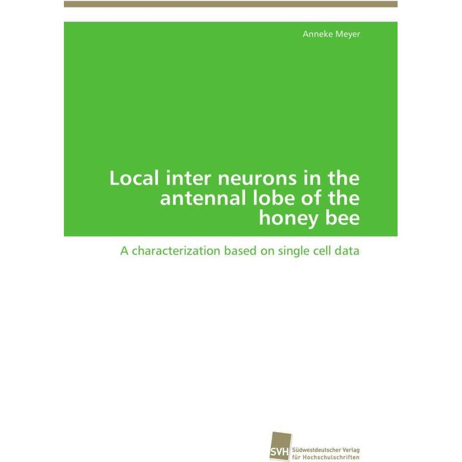 Local inter neurons in the antennal lobe of the honey bee, Fachbücher von Anneke Meyer