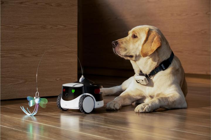 Produktbild Enabot ROLA PetPal Interactive Toys (Beschäftigungsspielzeug Katze)