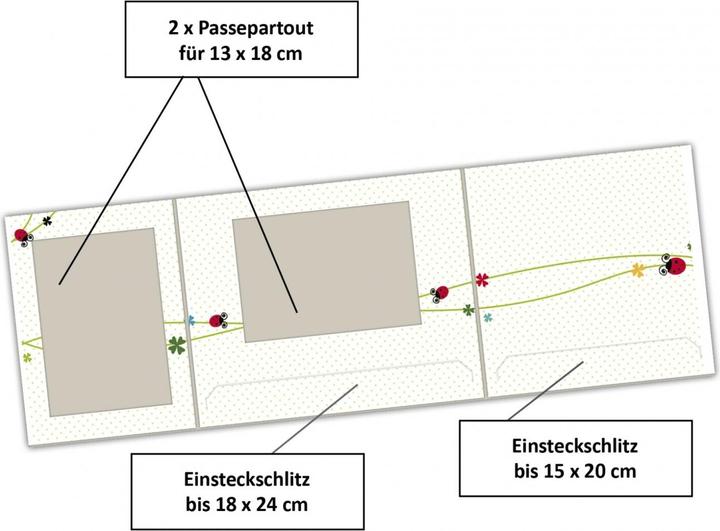 Actual product image Daiber 1x25 Ladybug 13x18 children portrait folders (18 x 13 cm)
