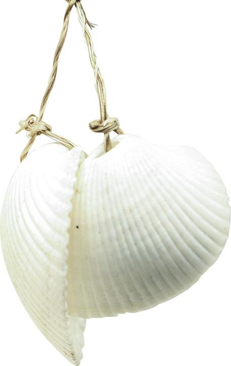Actual product image Viana Holz Deko Heimathafen Wandschmuck