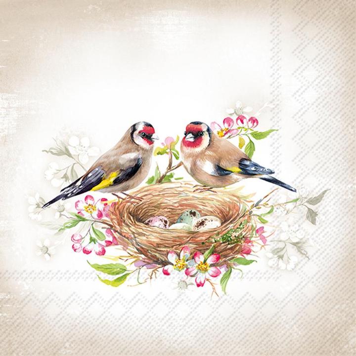 IHR Nido di cardellino (20 x, 33 x 33 cm)