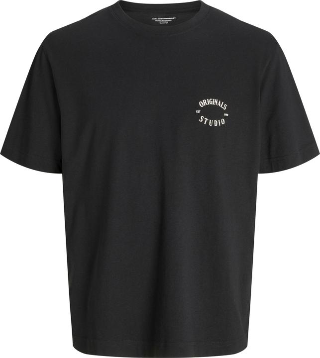 Image du produit Jack & Jones Joraustin Font Tee Ss C.N Styd Aw24 (M)