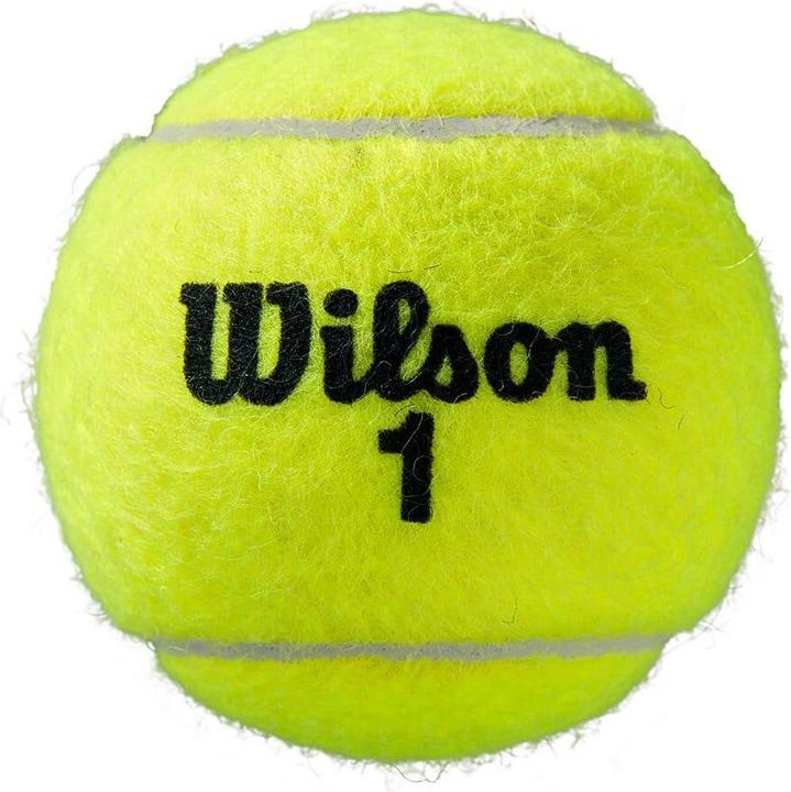 Immagine prodotto Wilson Roland Garros
