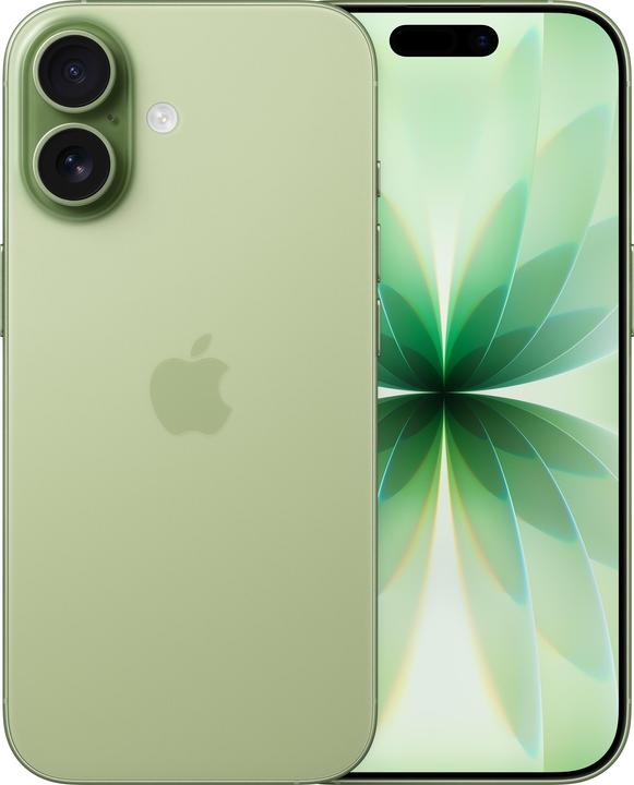 Apple iPhone 17 (256 GB, Sage, 6.30", Dual SIM, 5G)