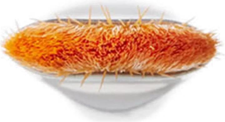 Actual product image MAC Cosmetics 195 Concealer Brush (Concealer)