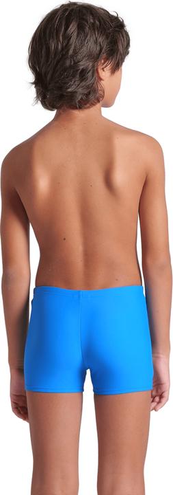 Actual product image Arena B Tales Swim Short (164)