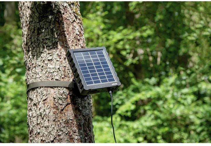 Actual product image Dörr Li-1500 12V/6V 204446 Solar panel