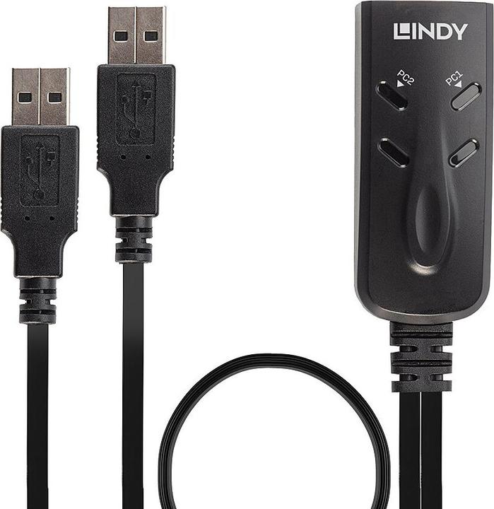 Actual product image Lindy KM Switch