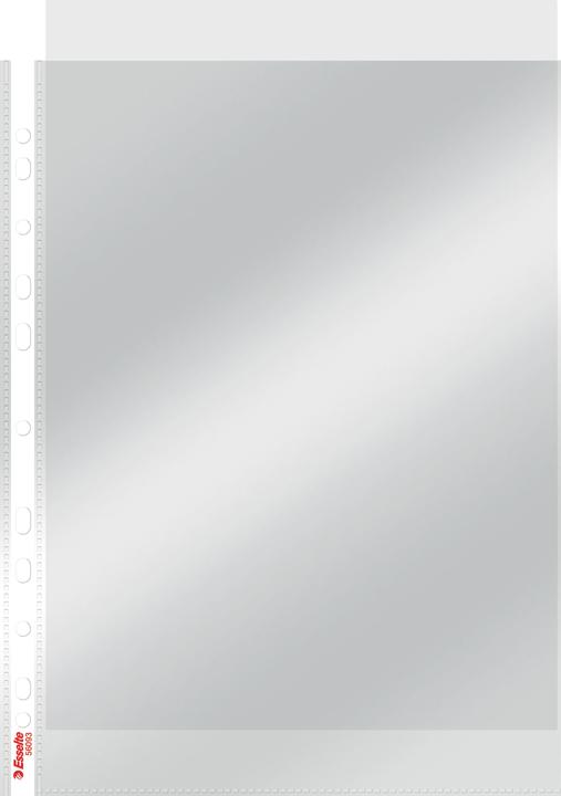 Actual product image Leitz Esselte Premium brochure cover, A4, PP, crystal clear, 0.10 mm open top, document-proof, Euro (A4, 1 x)