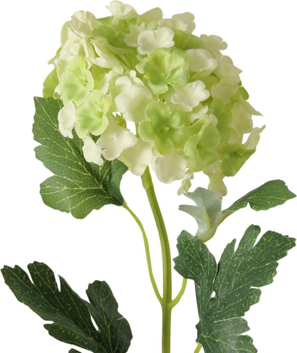 Immagine prodotto Disco Möbel Hortensie (30 cm)