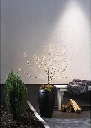Produktbild Star Trading Decorativer Baum Reedy