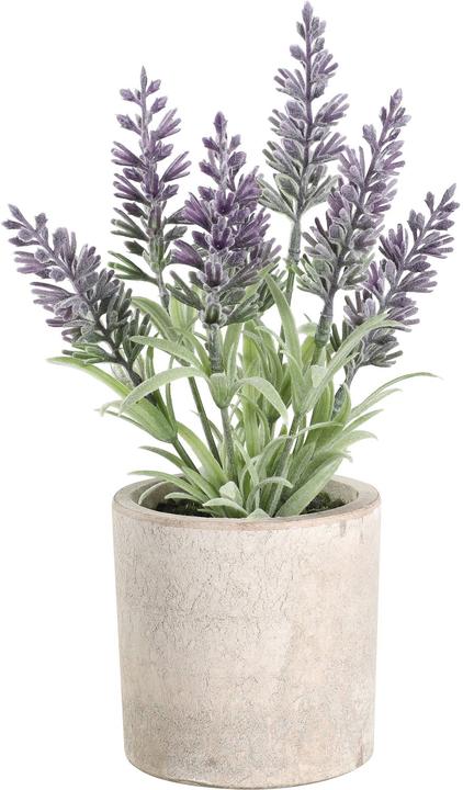 Immagine prodotto EGLO Pianta artificiale (22 cm)