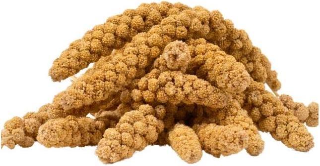 Lyra Pet Millet en épi (1 x, 1 kg)