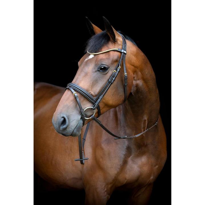 Image du produit Horse Guard Emi 26.1