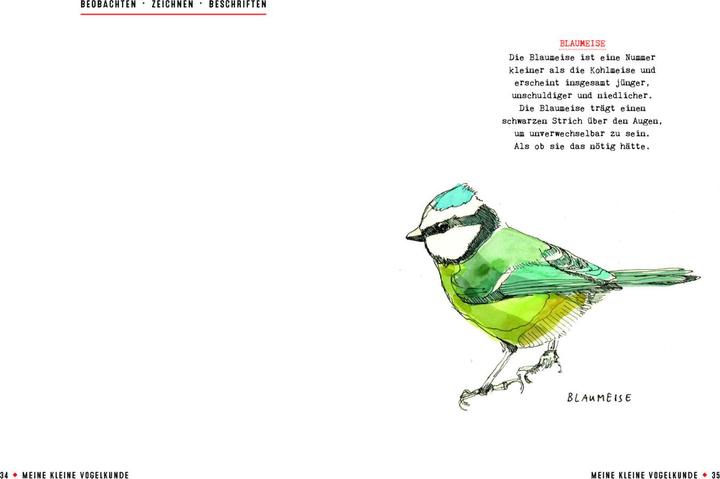 Produktbild Meine kleine Vogelkunde (Deutsch, Gerard Janssen, 2018)