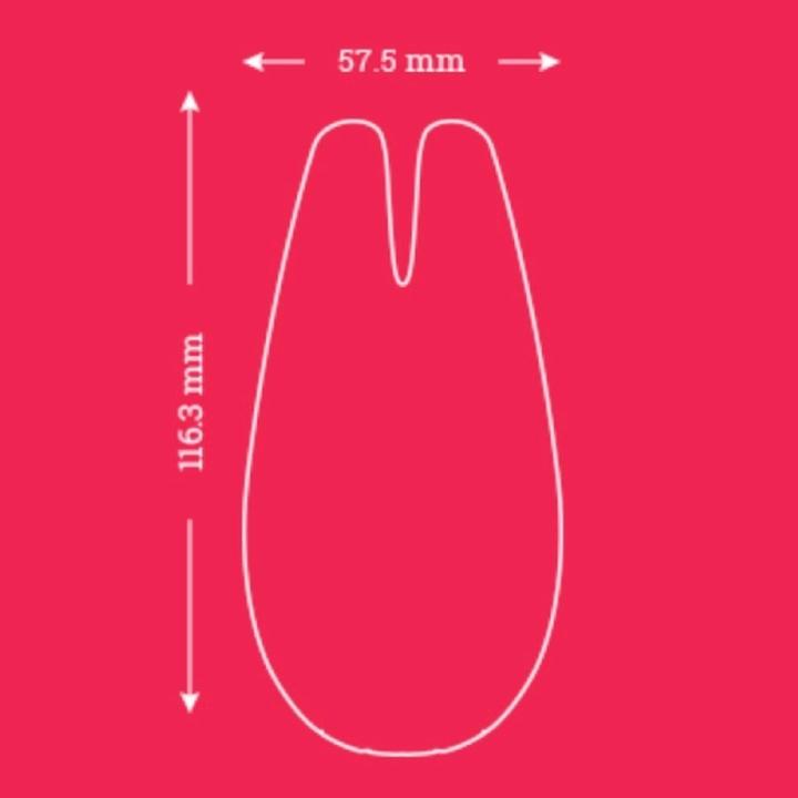 Actual product image We-Vibe Gala