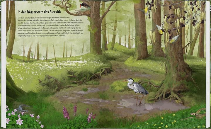 Immagine prodotto Wildes Leben in alten Bäumen (Tedesco, Ilka Sokolowski, Janine Czichy, 2025)