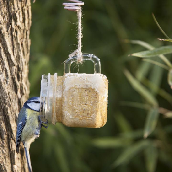 Produktbild Best for Birds FB830 (1 x, 0.57 kg)