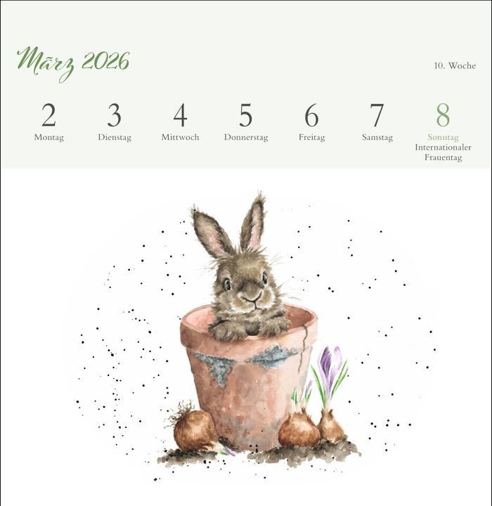 Produktbild Hannah Dale: Happy Animals Premium-Postkartenkalender 2026 (165 x 177 mm, Kein Einband, Deutsch)