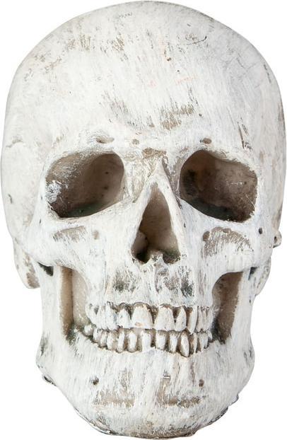 Actual product image MICA Living Skull - made of ceramic - approx. 9.5 x 6.5 x 7.5 cm (1 pcs.)