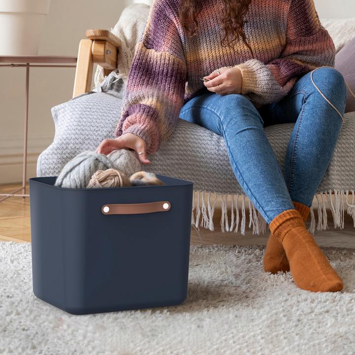 Produktbild Rotho 2er-Set Aufbewahrungsbox Maloja 40l (40 l, 2x)