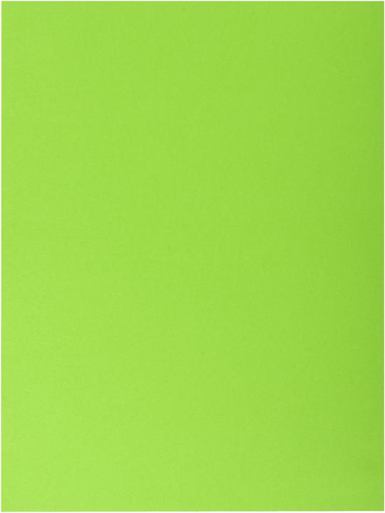 Immagine prodotto Exacompta Scrapbook - Copertine di file (A4, 100x)