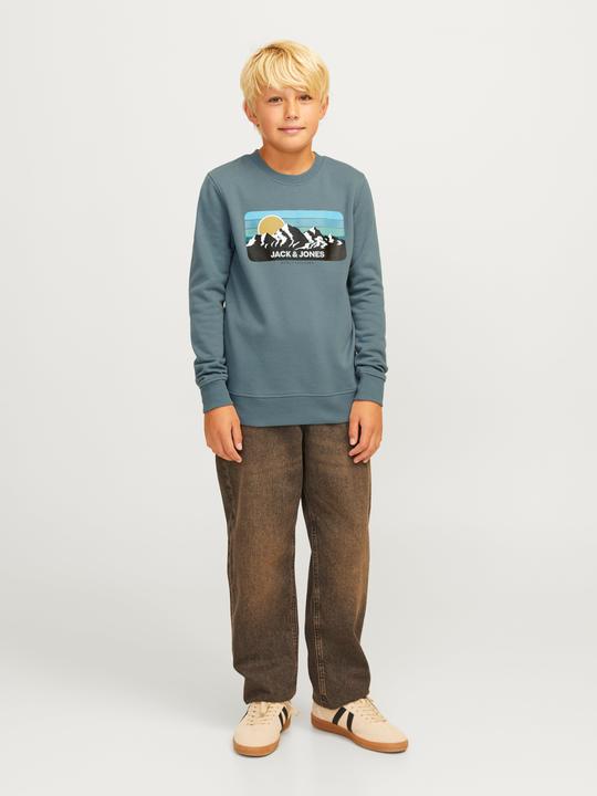 Produktbild Jack & Jones Gedruckt Sweatshirt mit Rundhals Sweatshirt mit Rundhals (176)