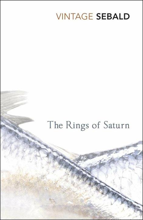 Produktbild The Rings of Saturn (Englisch, W. G. Sebald, 2002)